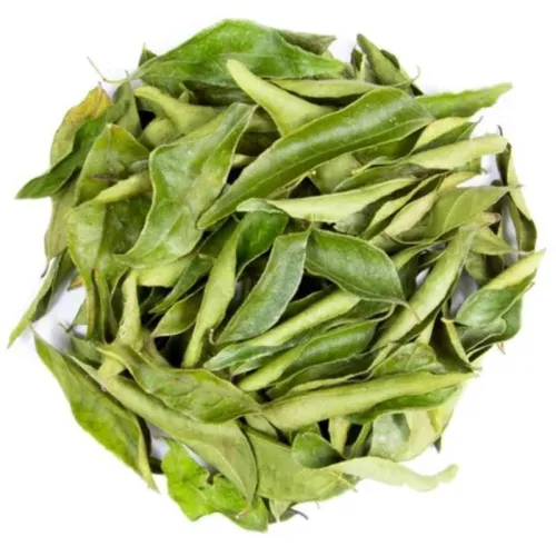 TAGE freeze-dried curry leaves herb ingredient