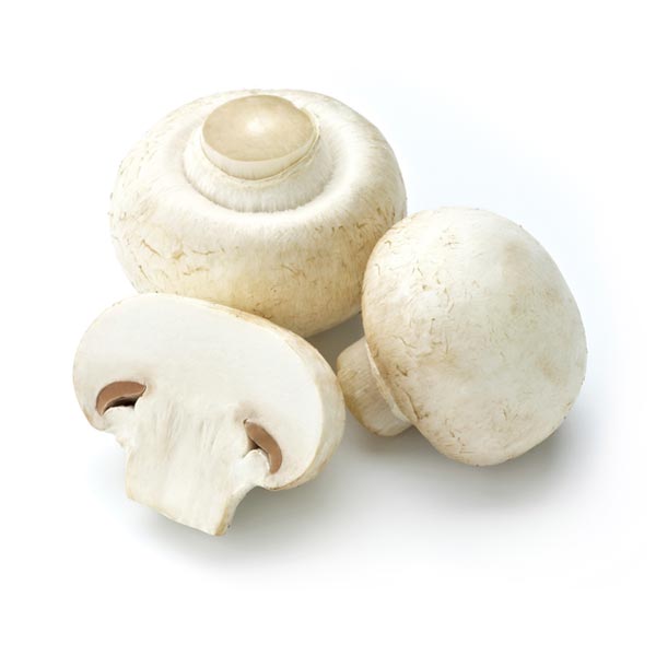 Freeze-Dried Mushroom