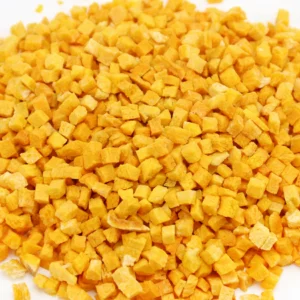 Freeze-Dried Pumpkin