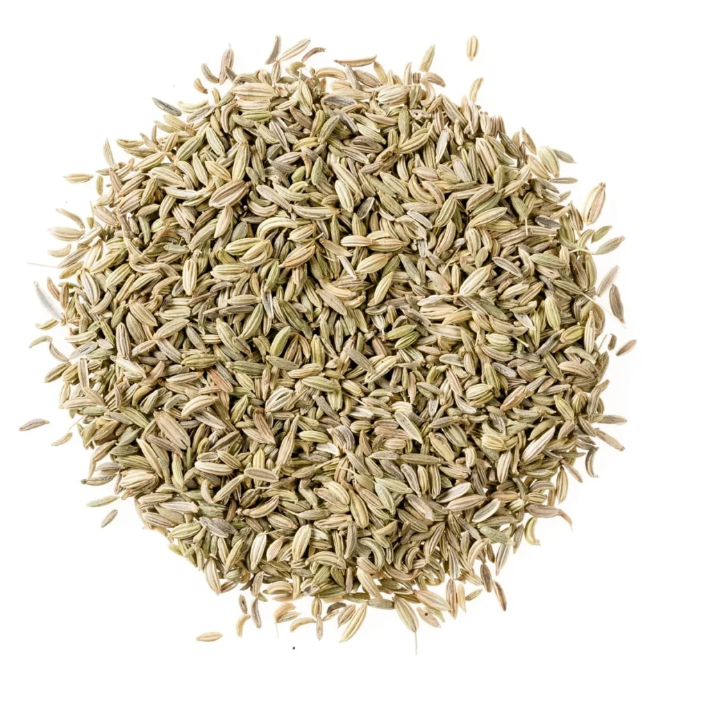Freeze-Dried Fennel