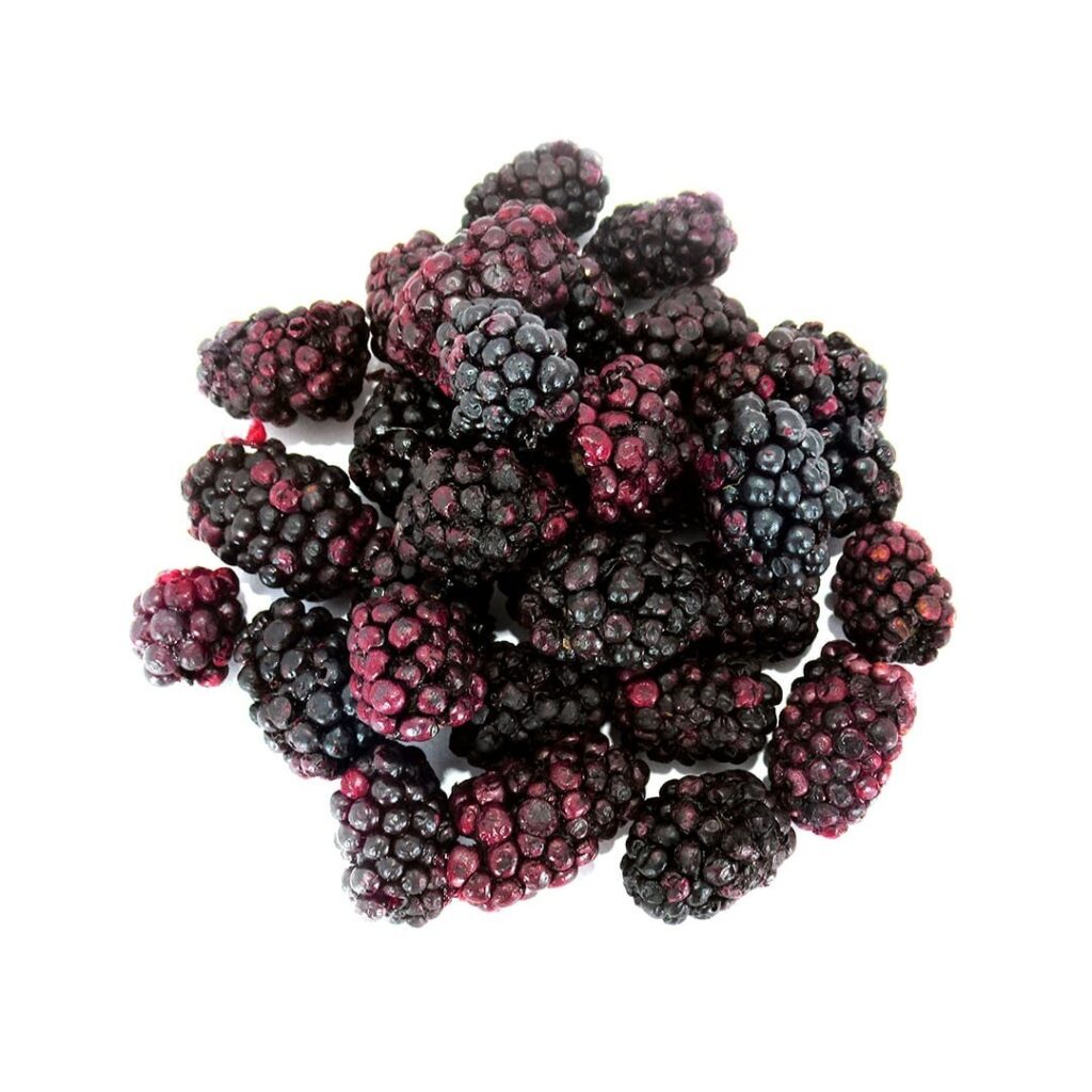 Freeze-Dried Black Berry